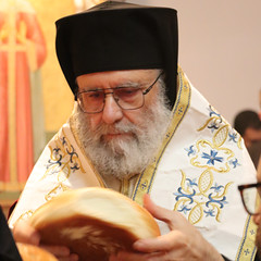 Metropolitan Saba
